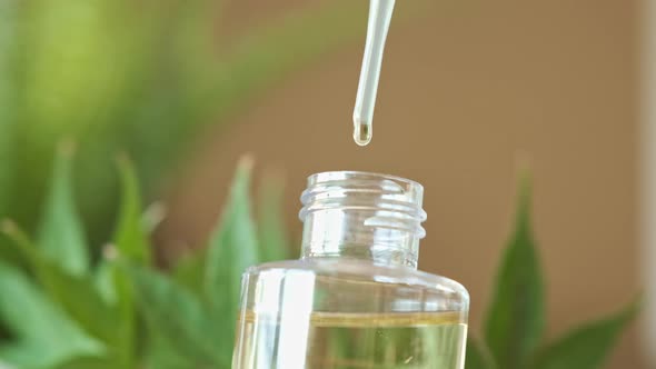 CBD Oil in Slow Motion, Being Dropped Into Clear Glass Bottle with Marijuana Leaves in Background