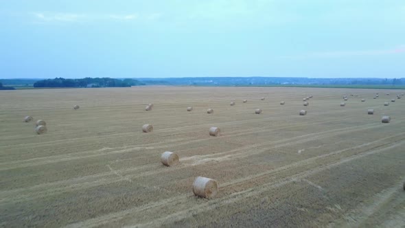 Farm Field with Hay Bales
