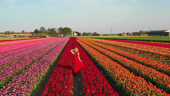 Woman in a Blooming Tulips Field