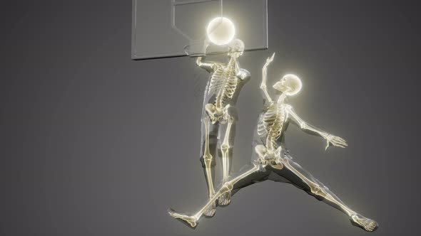 Basketball Game Players with Visible Bones alt