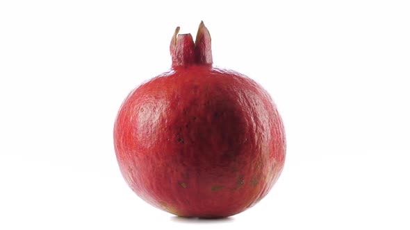 One Red Ripe Whole Pomegranate. Closeup on White. Rotating