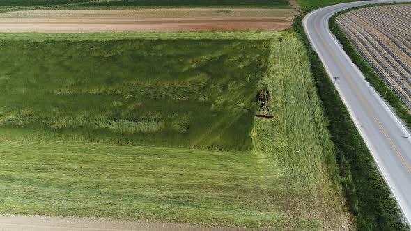 Aerial View of Amish Farm Worker Harvesting Spring Crop With Team of 2 Horses