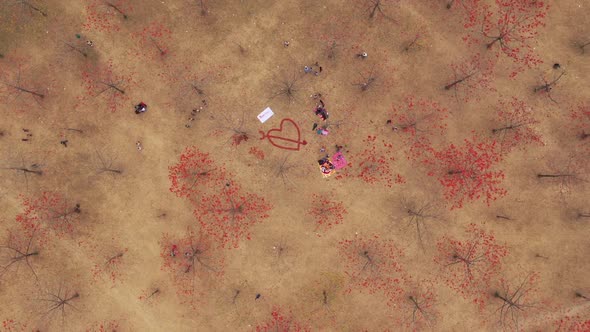 Aerial view of people in a countryside field, Dhaka, Bangladesh.