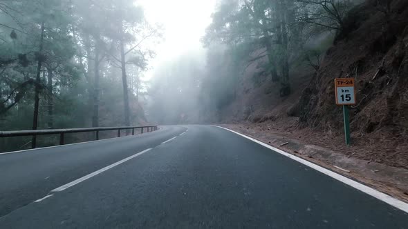 Road in Teide National Park, Tenerife, Canary Islands, Spain