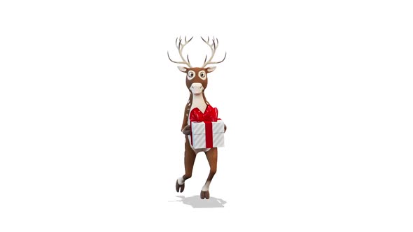 Deer Congratulates And Dances With A Gift on White Background