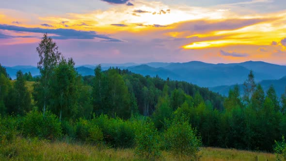 The Mountain Forest on Background of Sunset