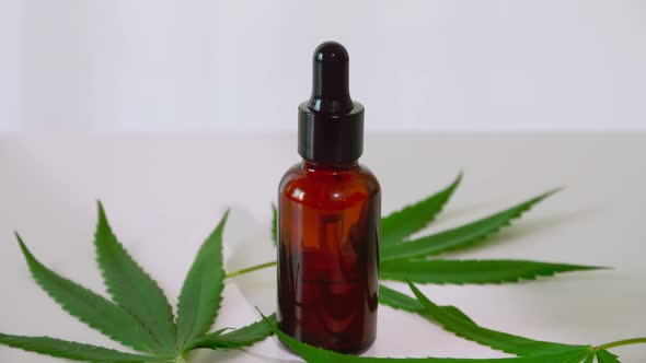 Cannabis oil in the dropper bottle with green leaves. Alternative medicine concept.