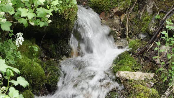 View of water flowing through mossy bank.