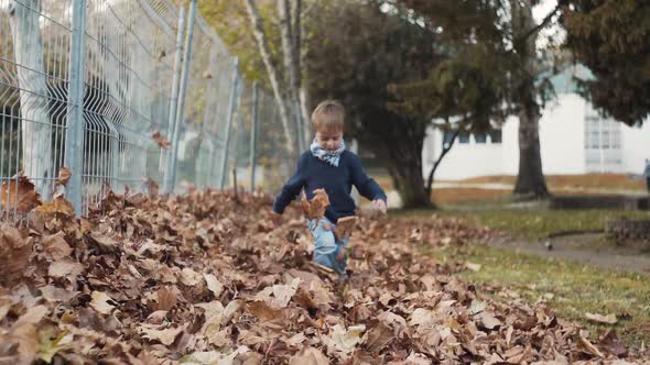 Cheerful Little Boy Running on Dry Autumn Leaves Slow Motion