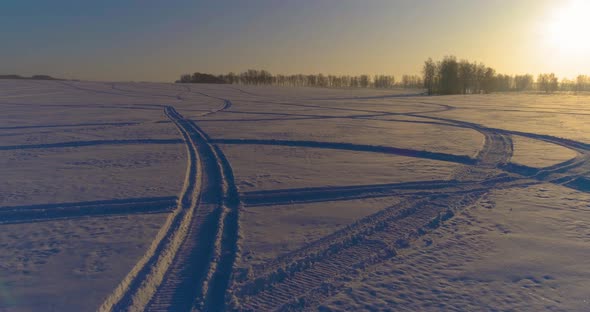 Aerial Drone View of Cold Winter Landscape with Arctic Field Trees Covered with Frost Snow and