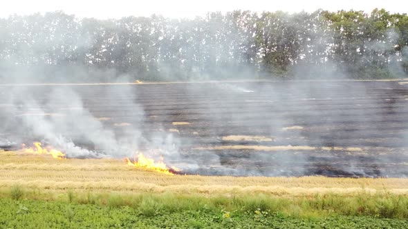 Flames and Smoke, Fire in the Field After Harvest, Air Pollution, Burning of Straw in the Field,