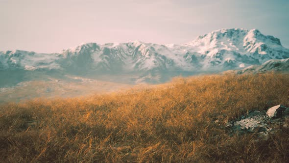 Dry Grass and Snow Covered Mountains in Alaska