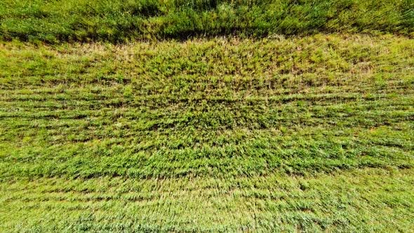 Aerial drone view of a flying over the rural agricultural landscape.