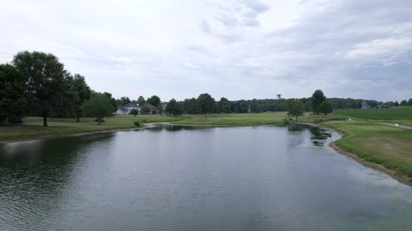 bird fly over pond on golf course, drone view