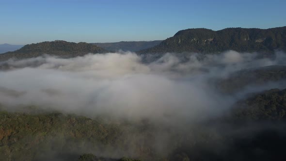 Morning Fog in Mountain Hills Covered with Forest