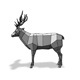 Deer - 3DOcean Item for Sale