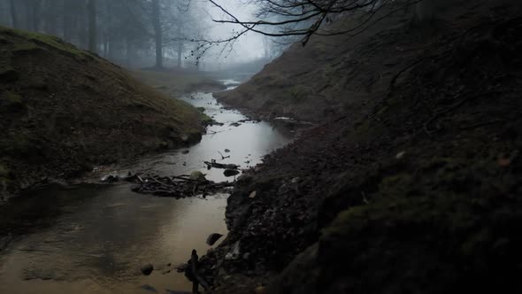 Winding Stream In Misty Forest At Dawn