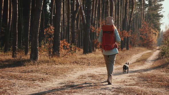 Young Woman with Hiking Backpack Traveling with Dog Through Pine Forest