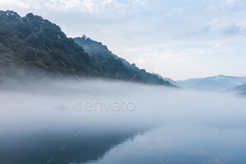 misty river in early morning / Photodune, Misc