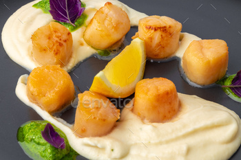 Scallops in creamy sauce on black plate / Photodune, Misc