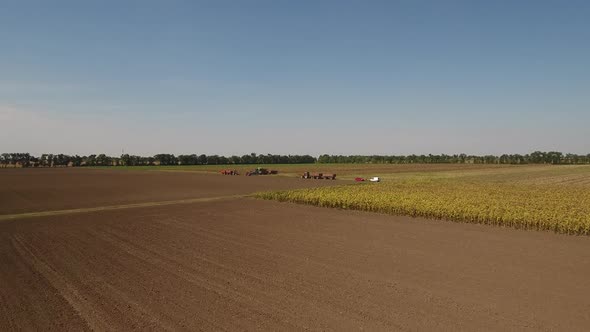 Tractors In A Field