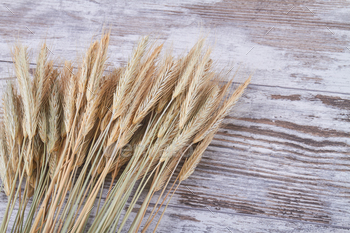 Organic wheat rye ears on white desk background. / Photodune, Misc