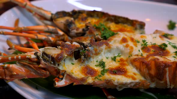 Grilled Lobster Meal with Herbs and Baked Cheese on Dinner Plate