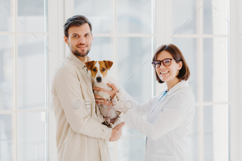 Happy smiling female vet care about dogs health, going to examine dog, talks with client / Photodune, Misc
