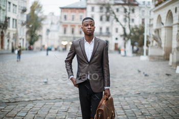 Confident businessman walking on street with briefcase / Photodune, Misc