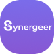 Synergeer - Corporate Creative WordPress Theme - ThemeForest Item for Sale