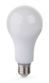 Light bulb close-up isolated on white background. - PhotoDune Item for Sale