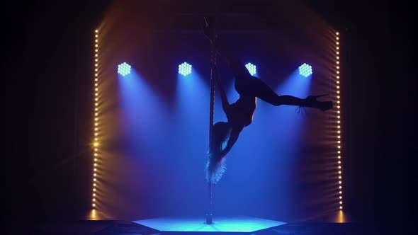 Sexy Young Woman with Long Hair Twirls Upside Down on a Pole and Performs an Acrobatic Stunt