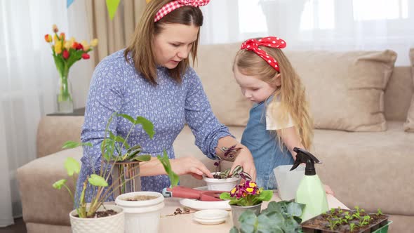 a Mother and Daughter Transplant Sprouted Houseplants to Pots