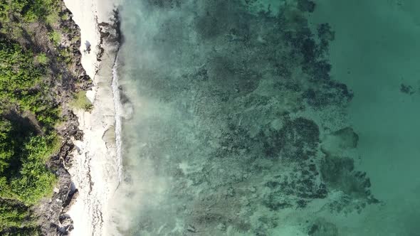 Vertical Video Empty Beach on Zanzibar Island Tanzania Aerial View