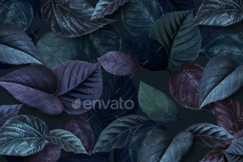Bluish plant leaves textured background / Photodune, Misc