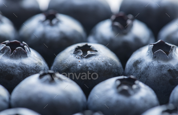 Macro shot of blueberry background / Photodune, Misc