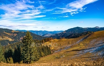 Beautiful forests covering the Carpathian mountains and a small village / Photodune, Misc