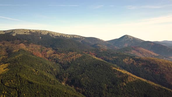 Aerial view of autumn mountain landscape with evergreen pine trees and yellow fall forest with 