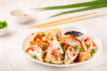 Fried dumplings served with green onions. / Photodune, Misc