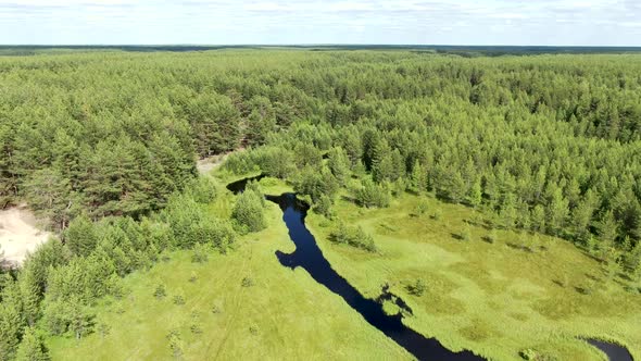 Forest River in the Summer Taiga From a Height of Flight