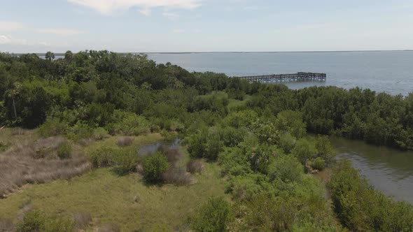 Fly over mangroves on the seashore in Florida then reveals a Pier