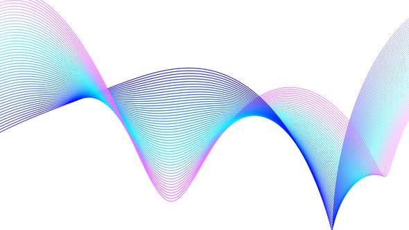 Blue Cyan Pink Shape Line Wave Animated On White Background