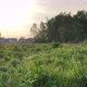 A Slow Motion Walk Through the Long Grass and the Flowers of a Meadow on a Sunny Spring Evening in a - VideoHive Item for Sale