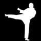 Karate Voice 09
