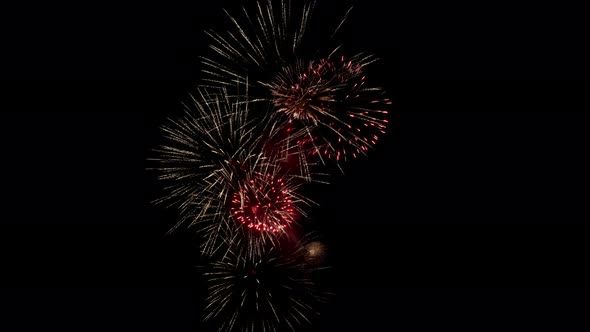 Many flashing colourful fireworks in event amazing with black background.