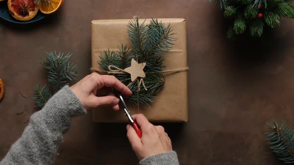 DIY Packaging for Christmas Gift