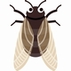 Japanese Cicada 1 - AudioJungle Item for Sale
