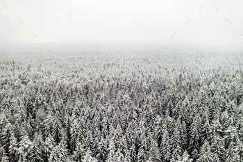 冬の雪に覆われた木々と冬の森の高さからの眺め / Photodune, Misc