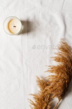 White textile texture background with papmpas grass and candle, mock up / Photodune, Misc
