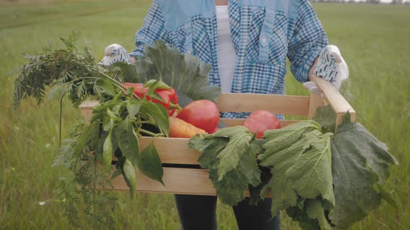 Farmer Girl Holds Wooden Box with Vegetables Crop in the Kitchen Garden. Harvest Time. Family